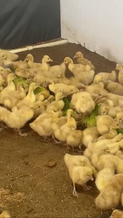 Бизнес в Караганде