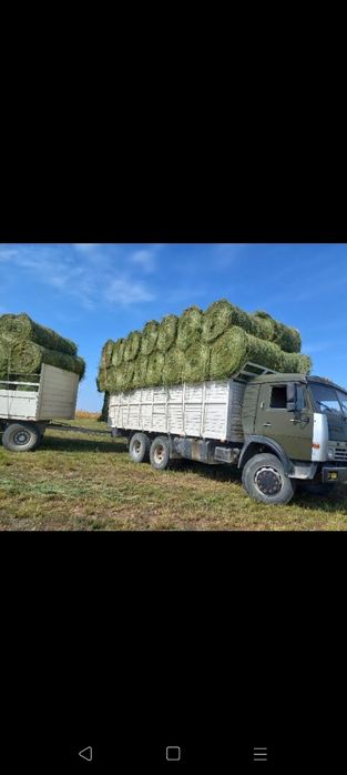 сено люцерна жоношка урлон жоношка свежый укос жоношка кез келген жерг
