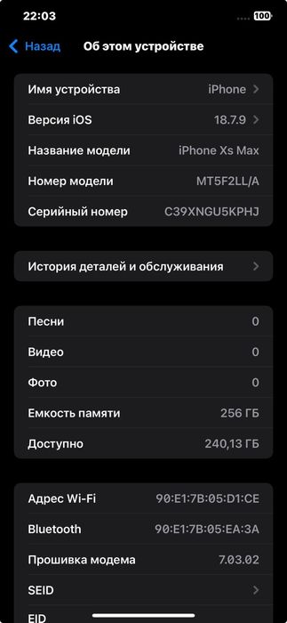 iPhone XS Max 256Gb