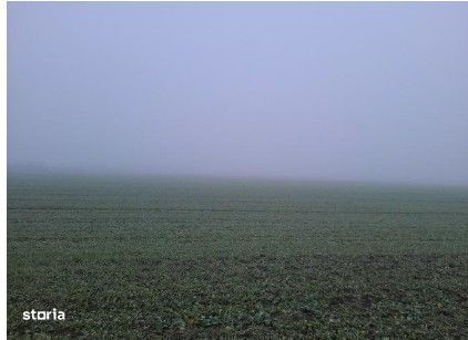 Teren extravilan arabil Troianul, ID: R2884553