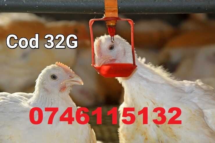 Adapatori Niplu gaini pui pasari pauni curci-Cu tavita detasabila- A32