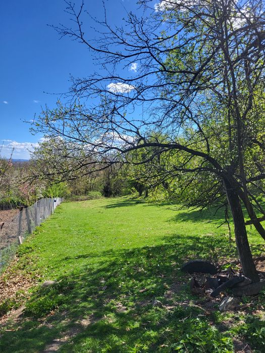 Vand doua proprietatu (casa plus teren) in Musetesti Gorj