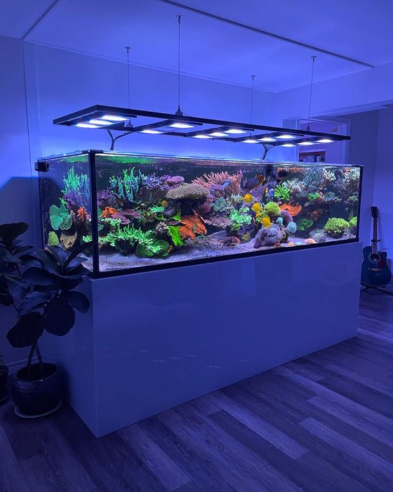 Магазин аквариумистики