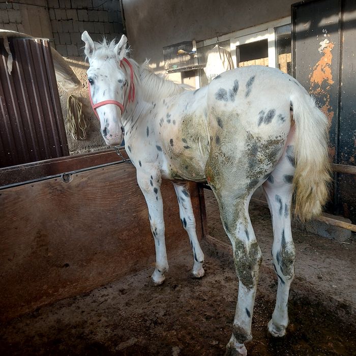 Катя Волкова порно секс трах видео