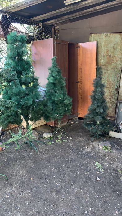 Продам елки новогодние