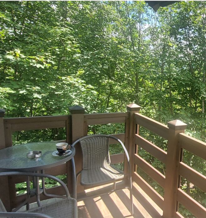 Cazare în pădure! - langa hotel Orizont !