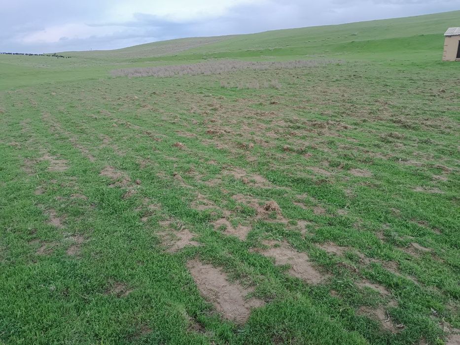 Срочна Продается 44 соток Земельный Усасток