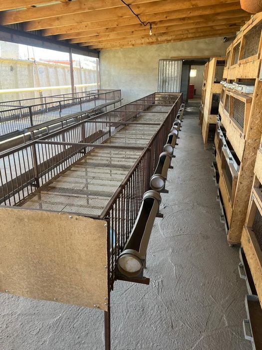 Продам брудера комплект