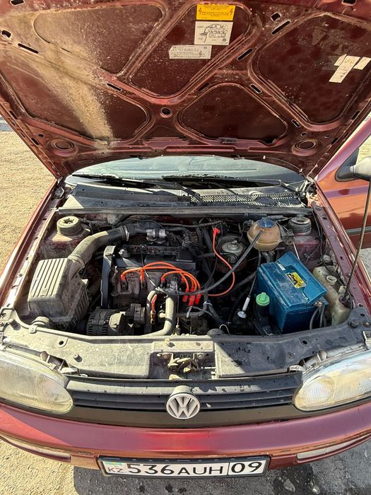 Продам живой гольфик