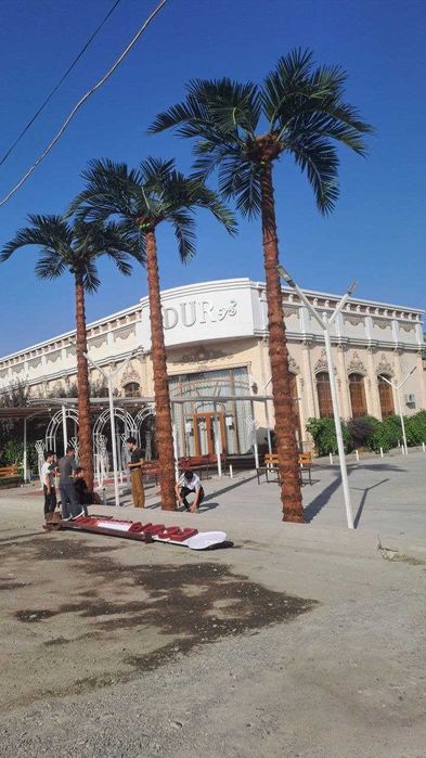 Xashamatli sun’iy palma 3–8m | 765$ dan