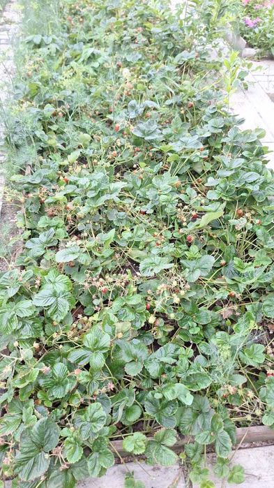 Продажа 2-комнатной квартиры