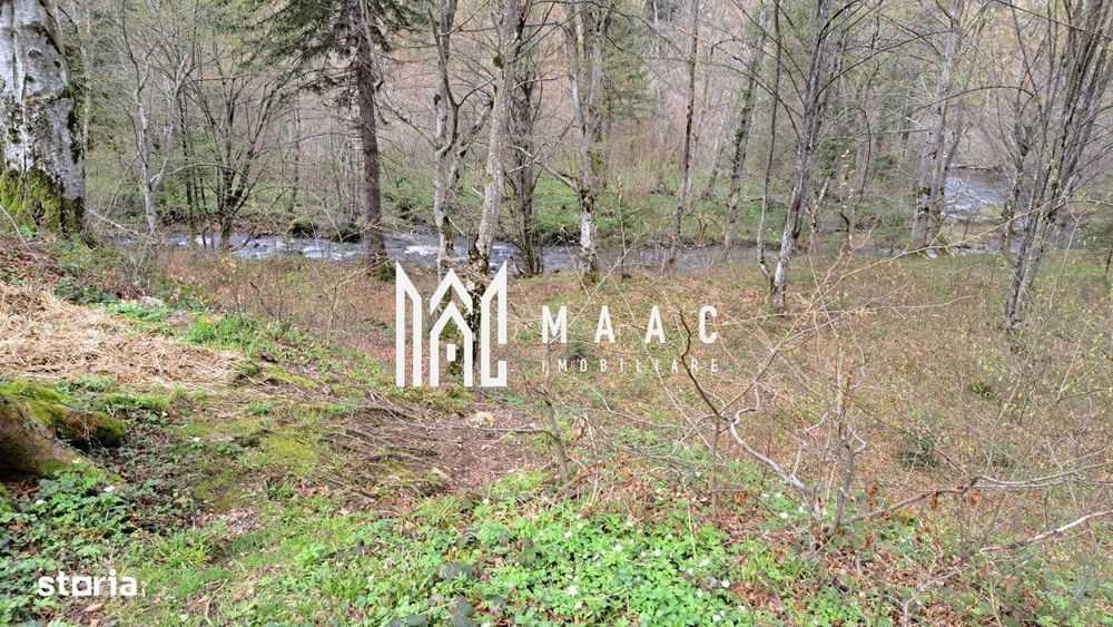 Teren Intravilan |2000Mp| Valea Avrigului
