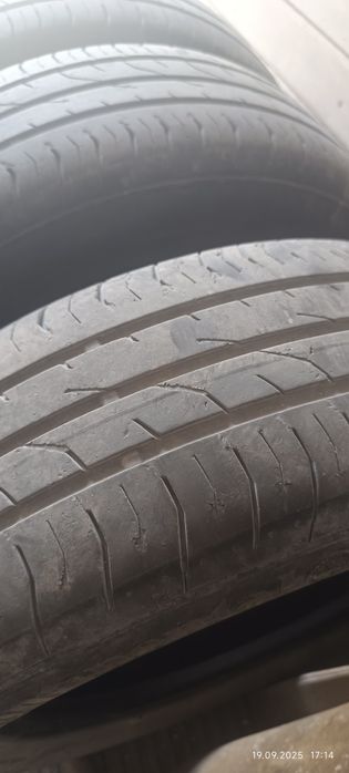 Летние шины Continental