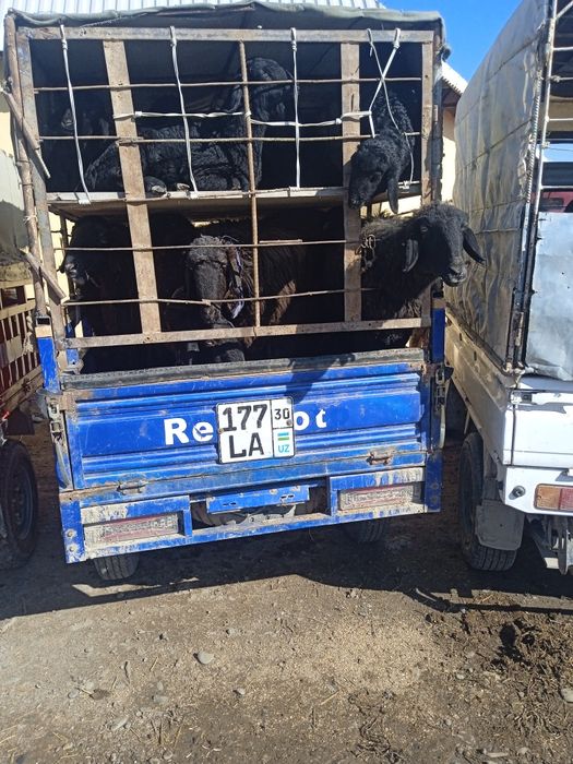 Matarol reshotkasi bilan