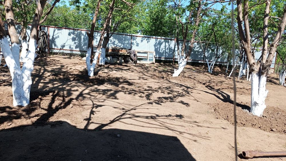 Дача + подсобное хозяйство