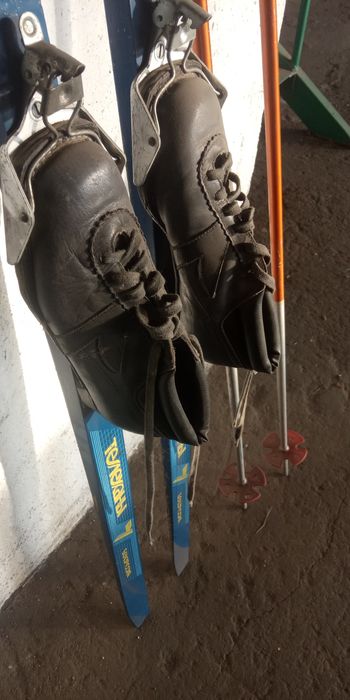 Лыжи , ботинки , палки .