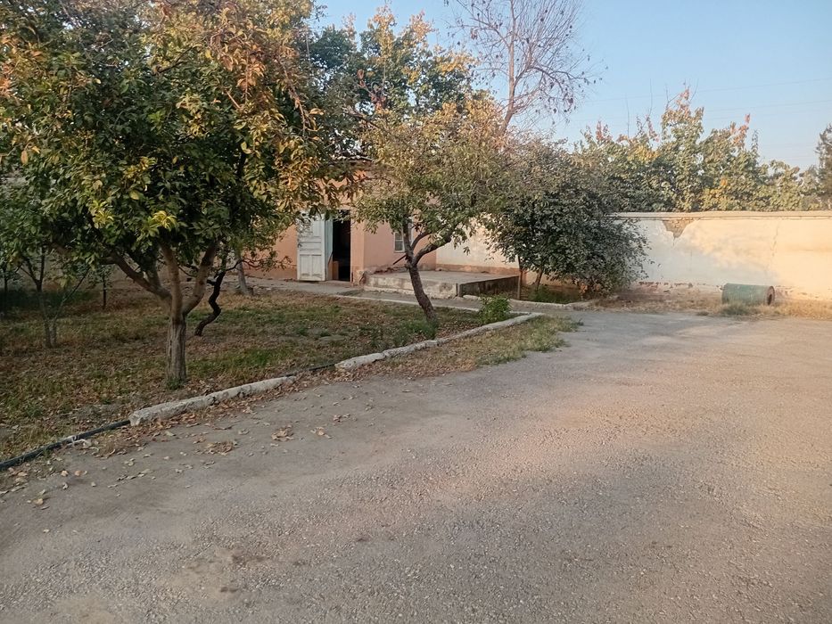 AYOQSH бензин запрафка