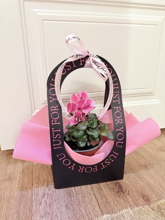 Живые цветы в горшке