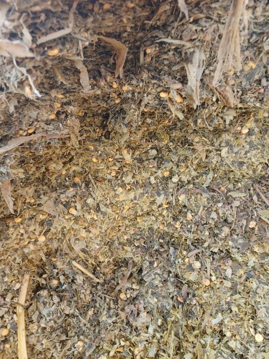 Donlik silos sotiladi 17 mingdan