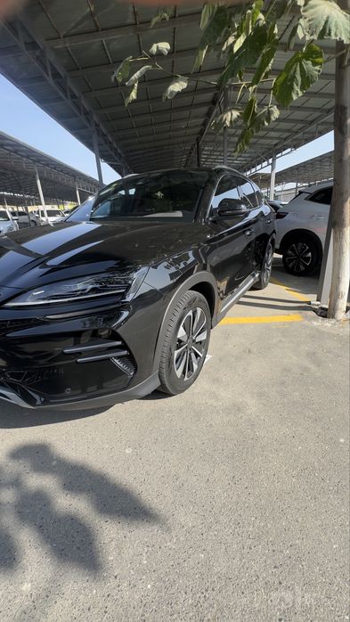 BYD chempion restalin