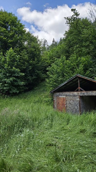 SITA BUZĂULUI – Proprietate deosebită cu teren intravilan 1.600 mp, pârâu, fâneață și pădure