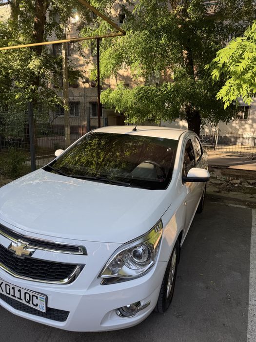 Cobalt 2022 oq 79500 yurgan