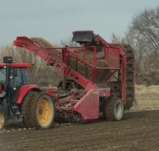 Grimme Rootster 604