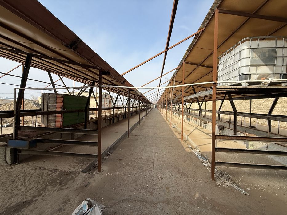 Мол ферма  сотилады 57 сотих келишамиз пулины