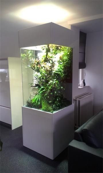 Sotiladi optimi  tayor akvarumla