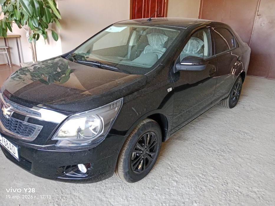 COBALT MIDNIGHT qorabumer sotiladi