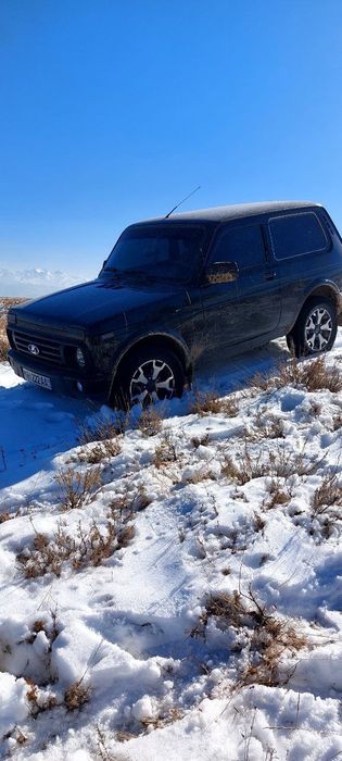 Niva  sotiladi holati zoʻr