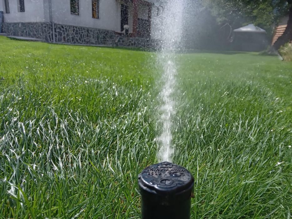 Озеленяване, затревяване, поддръжка и изграждане