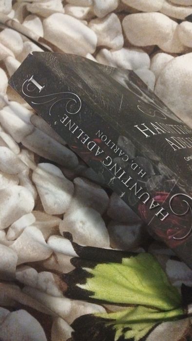 Cartea "Haunting Adeline" de H.D Carlton partea I