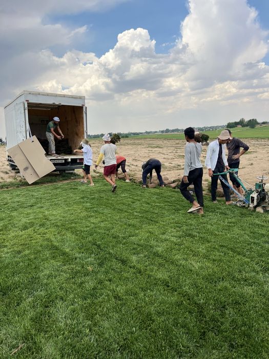 Gazon o’ptim  Abyomda bor  Kopro osela skidka bor