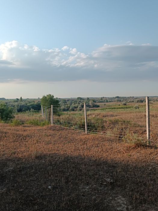 Сдам в аренду земельный участок под КХ