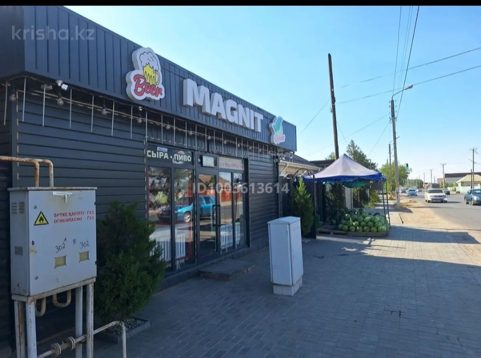 Продам дом с бизнесом