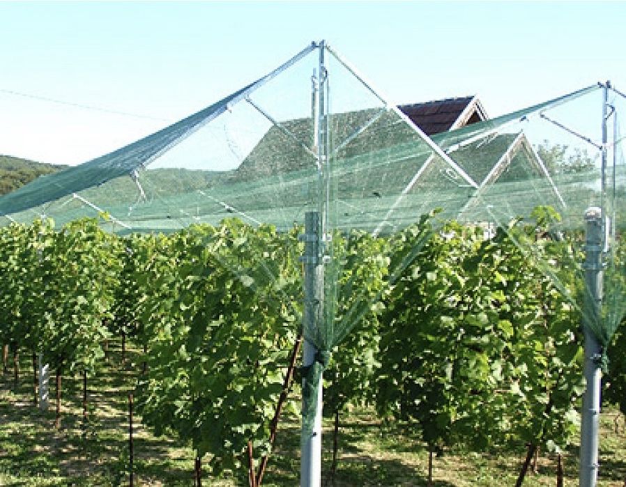 Мрежа против Градушка - Защита и Комфорт в Земеделието!