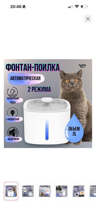 Домашнее животное