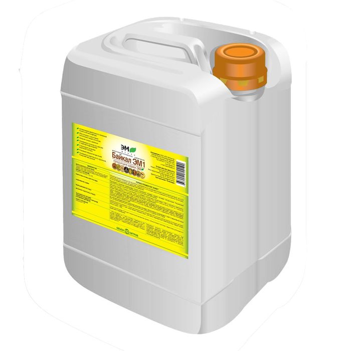 БАЙКАЛ ЭМ-1. В розлив.