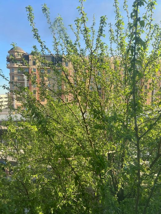 Продается 1 ком квартира, ориентир:Кафе Bon/Напротив ЖК Parisien, 29м²