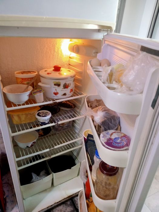 Xaladenlik nord raseski