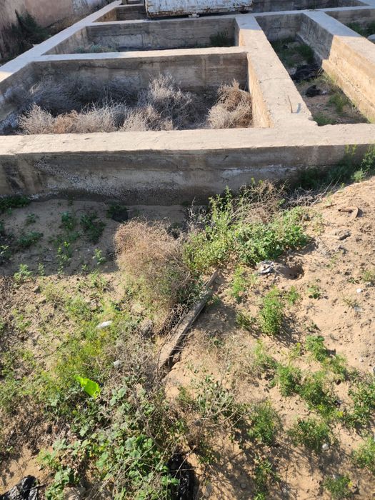 Фунда мент жемтик