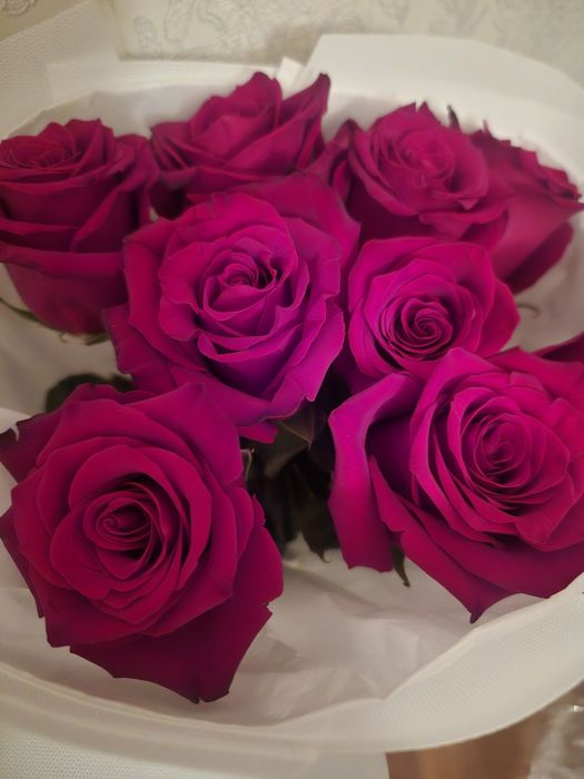 Цветы гул продам