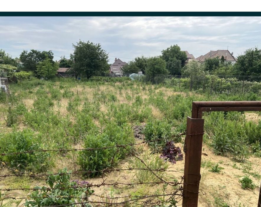 Vând teren intravilan central in Nazna.     Informatii la telefon