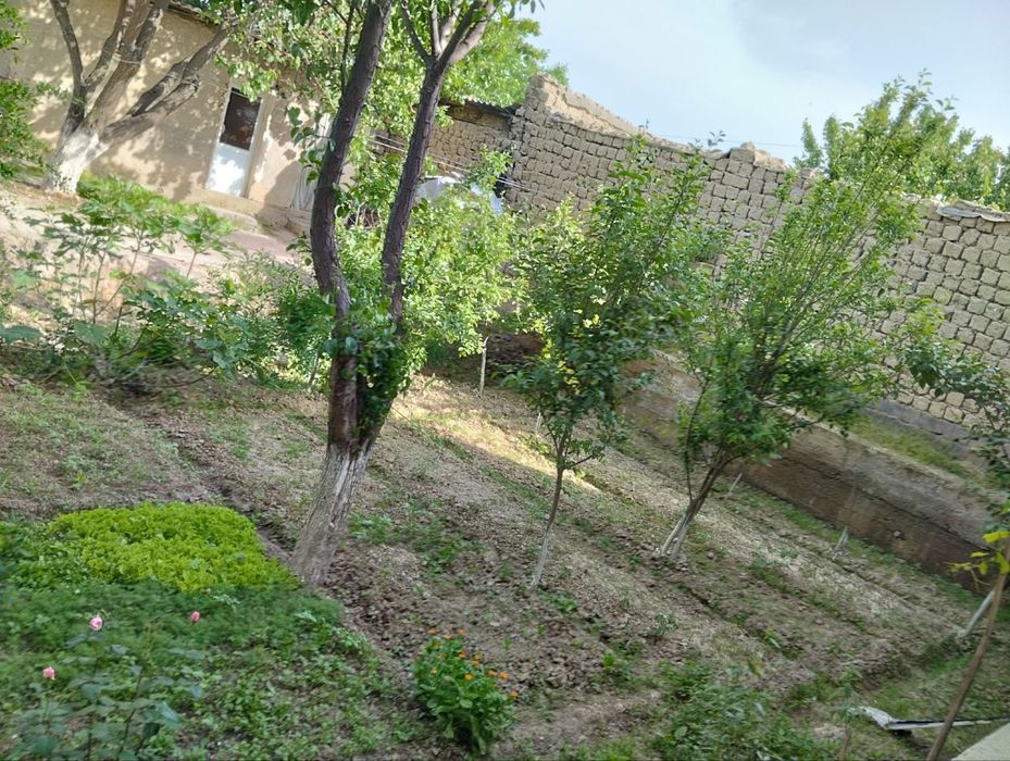 Ҳовли уй сотилади