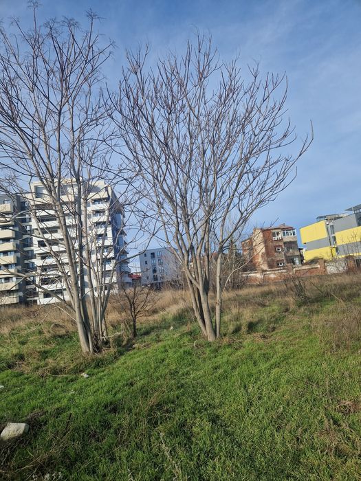 Inchiriez teren parcare sector 5 Marriot Catedrala Chirigiu