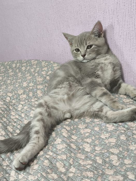 Вязка вязка вязка