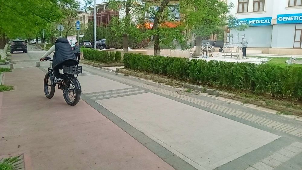 Арча кучатлар сотилади.