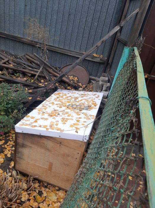 Продам собачью будку