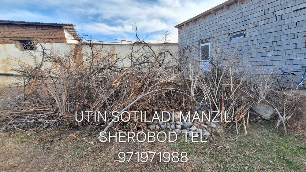 Uten sotiladi sherobod xòjgi maxalla